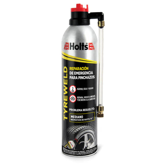 Holts-Aerosol-Pt-Reparat-Defecte-400Ml-Ht3Y